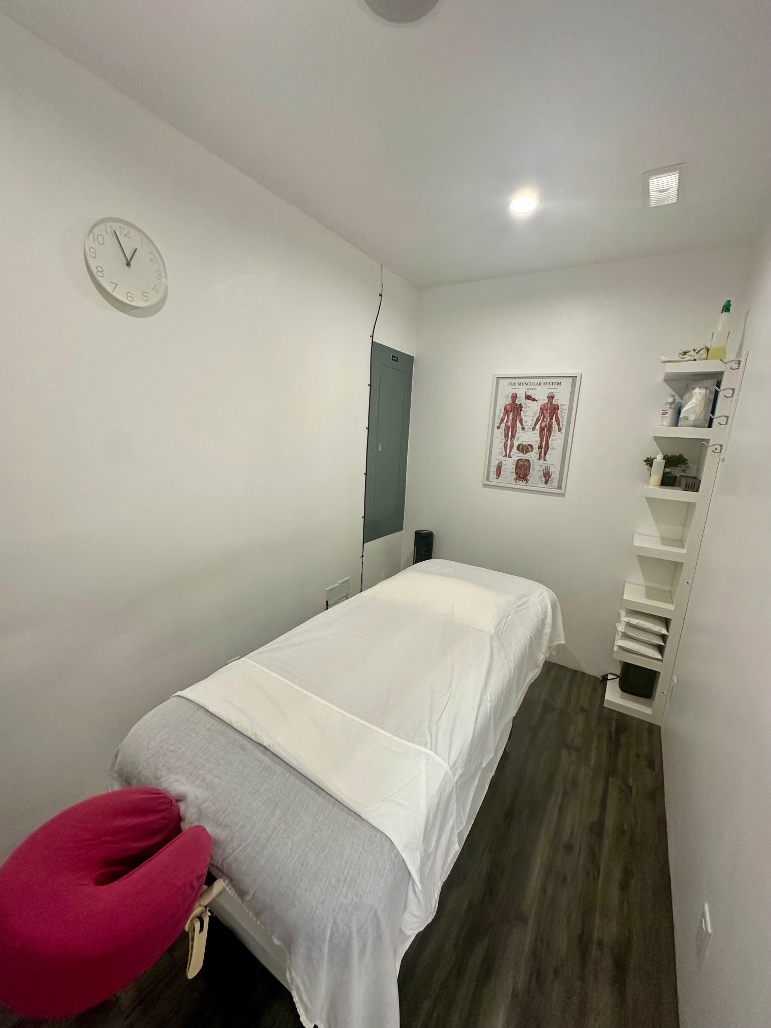 Locus Health Centre treatment room with massage table and muscular system poster